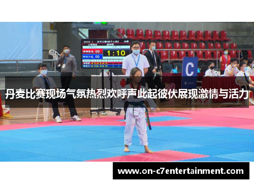 丹麦比赛现场气氛热烈欢呼声此起彼伏展现激情与活力 丹麦比赛现场气氛热烈欢呼声此起彼伏展现激情与活力