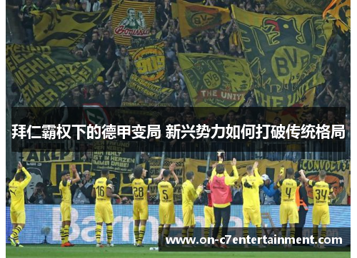 拜仁霸权下的德甲变局 新兴势力如何打破传统格局 拜仁霸权下的德甲变局 新兴势力如何打破传统格局