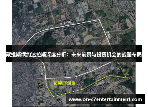 戴维斯续约达拉斯深度分析:未来前景与投资机会的战略布局 戴维斯续约达拉斯深度分析:未来前景与投资机会的战略布局