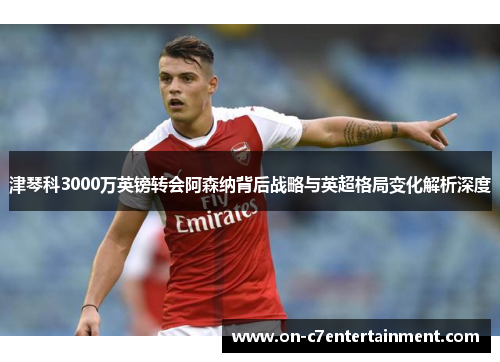 津琴科3000万英镑转会阿森纳背后战略与英超格局变化解析深度