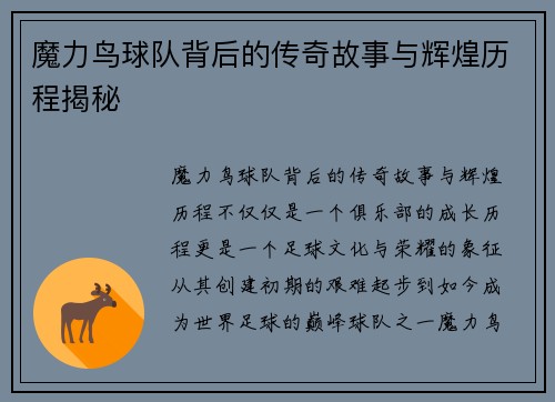 魔力鸟球队背后的传奇故事与辉煌历程揭秘